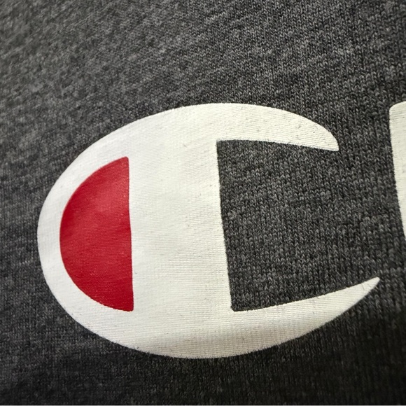 Champion Dark Gray Hoodie with Logo! NWT! - Picture 4 of 10